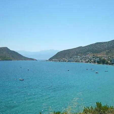 Barbaressa Tolo