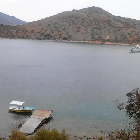 Barbaressa Tolo