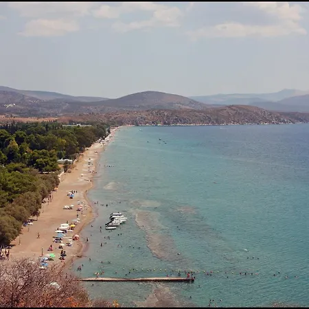 Barbaressa Tolo