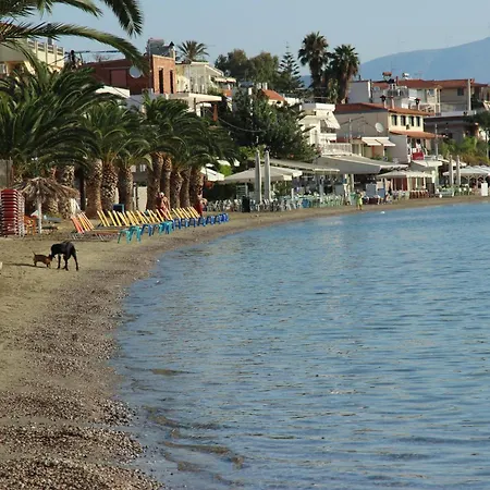 Barbaressa Tolo